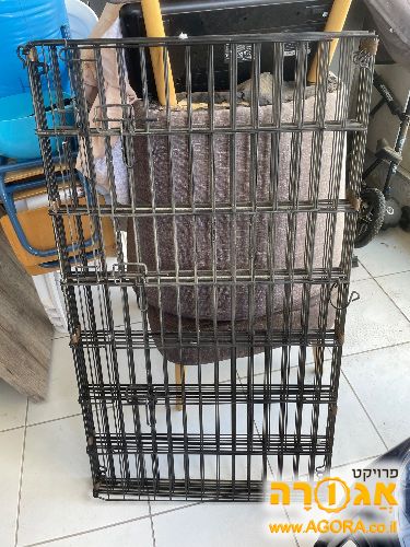 גדר גורים / אילוף
