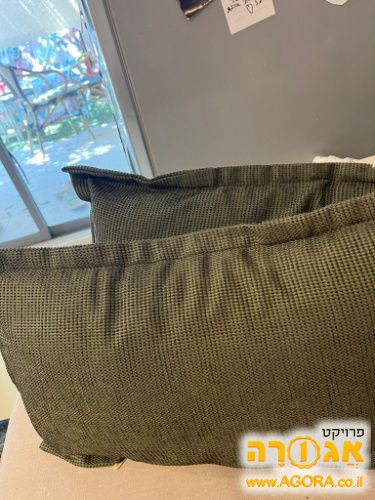זוג כריות ספה
