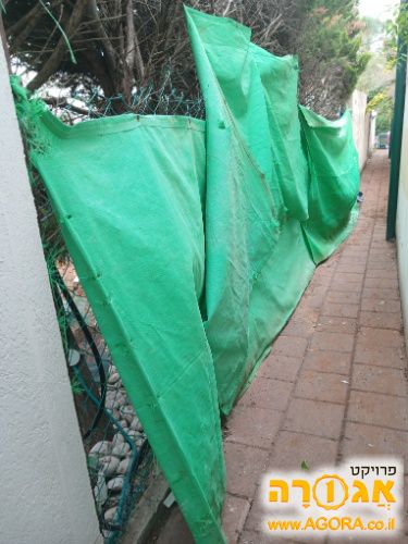 ברזנטים