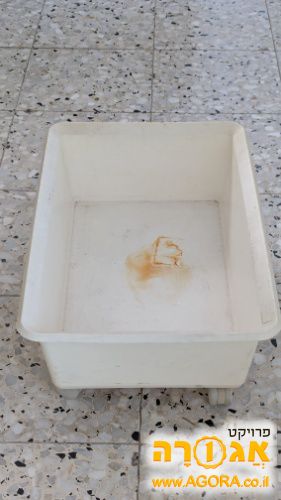 ארגז פלסטיק עם גלגלים