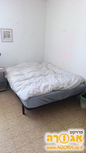 מיטה