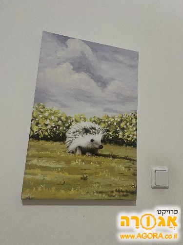 קנבס של קיפוד