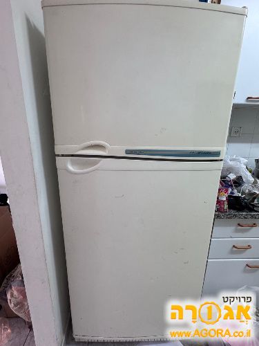 מקרר אפולו תדיראן