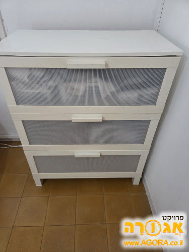 ארונית