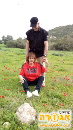 שולחן