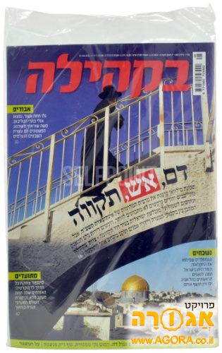 כתבי-עת חרדיים