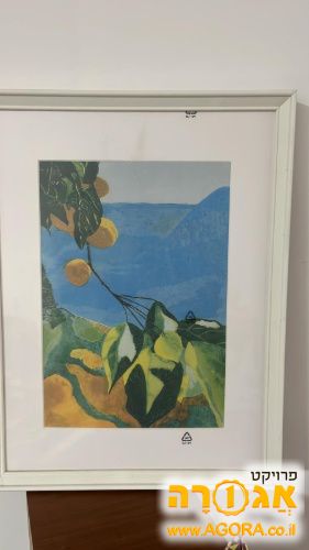 תמונה ומסגרת תמונה