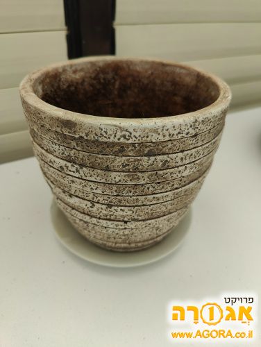 כלי לעציץ