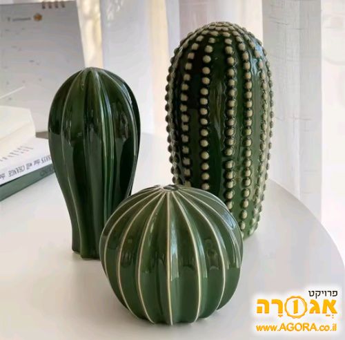 קקטוס דקורטיבי
