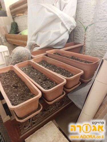 4 אדניות פלסטיק ארוכות ותחתיות תואמות