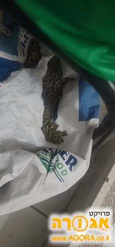 אוכל לארנבונים, מצע נסורת לארנבונים