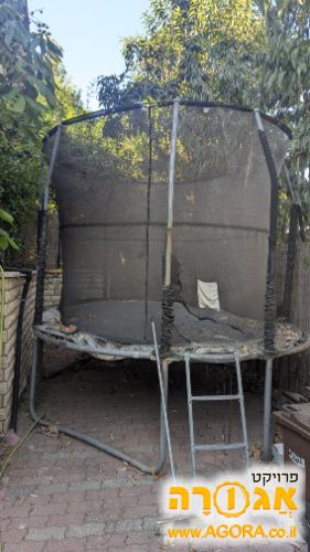 טרמפולינה