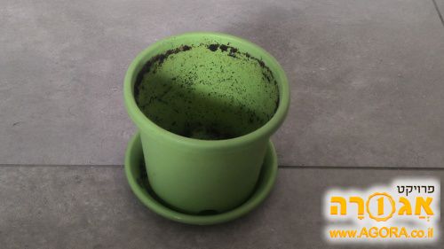עציץ פלסטיק לבית/גינה בהצב טוב