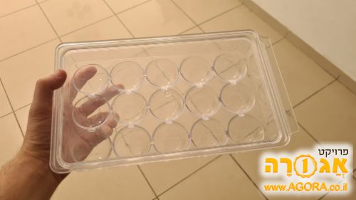 תבנית לאחסון ביצים