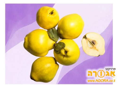 חבושים