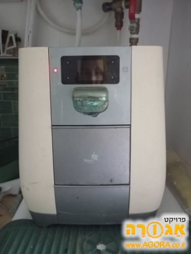 תמי 4