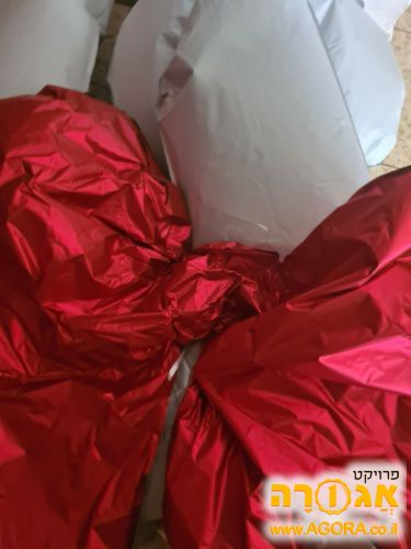 בלונים ספרות