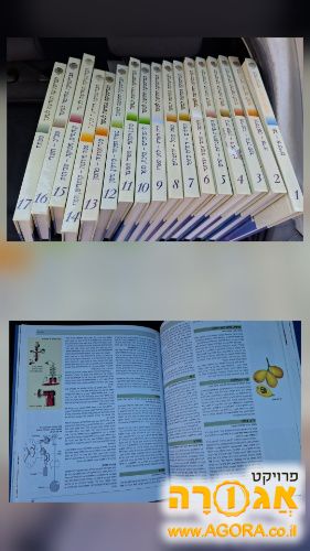 כל הכרכים של הברטניקה לנוער החדשה