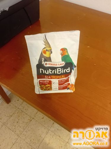 קופטיות לתוכים