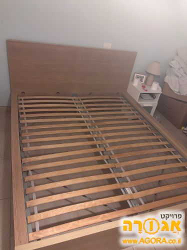 מיטה