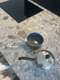 סירים