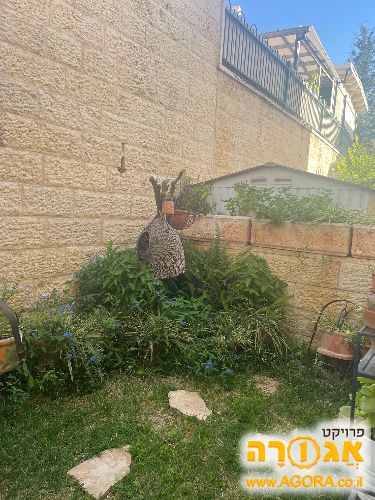 צמחים