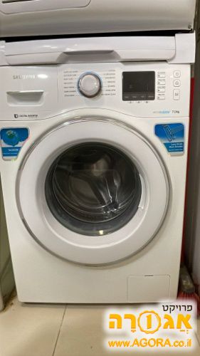 אמיר תכלת