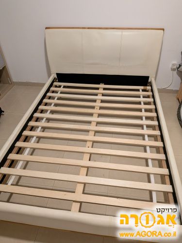 מיטה
