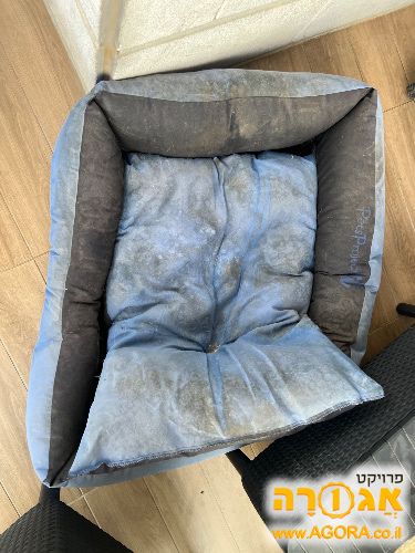 מיטה לכלב
