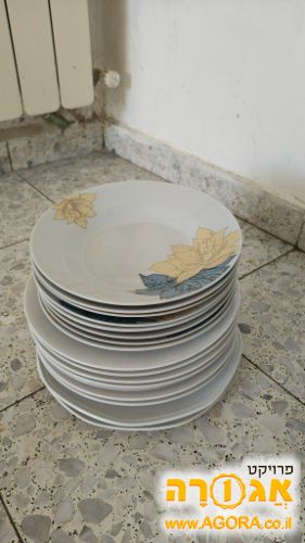 Dishes, not kosher