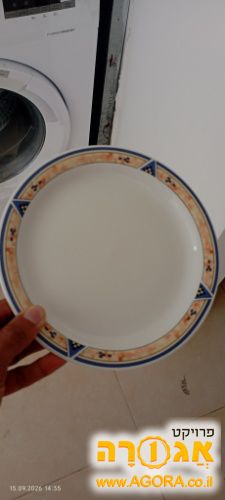 צלחות מנה ראשונה