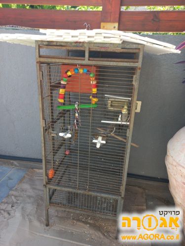 תוכים וכלוב