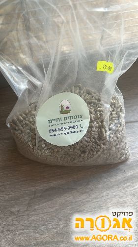 אוגרים כולל כלוב ציוד ואוכל