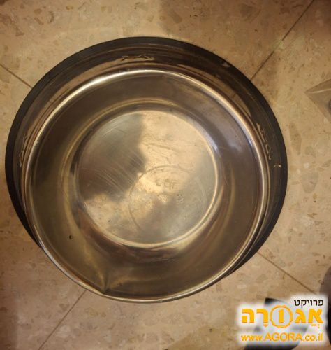קערה לכלב