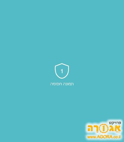 כלבה מסוג אקיטה אמריקאי