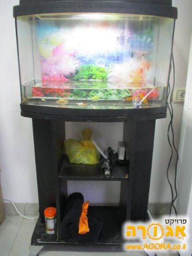 אקווריום