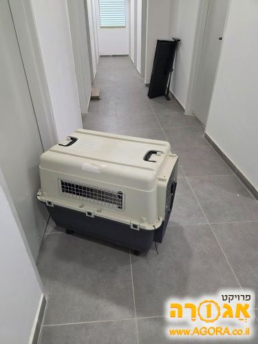 כלוב לכלב