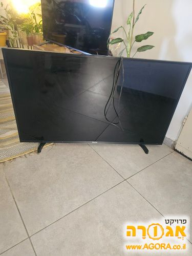 טלויזיה