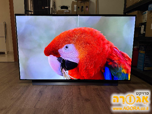 LG CX 55