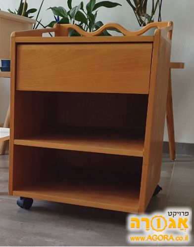 ארונית