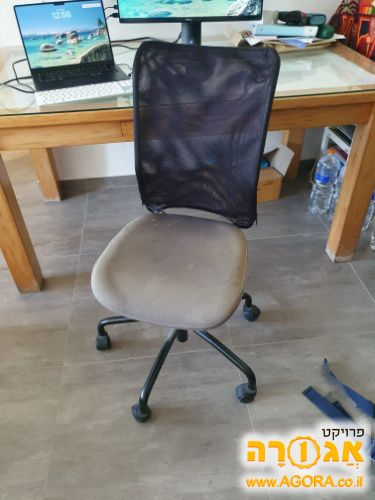 כסא סטודנט