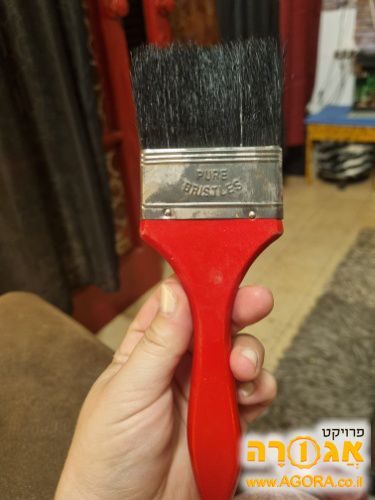 מברשת 👩🏼🎨 לצבע 🫟 🎨