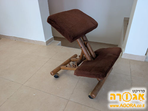 כסא גב ארגונומי