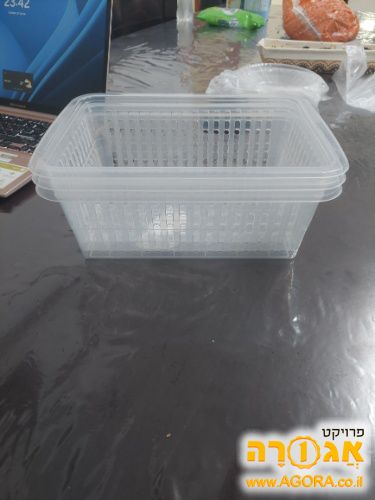 סלסלאות כחדשות