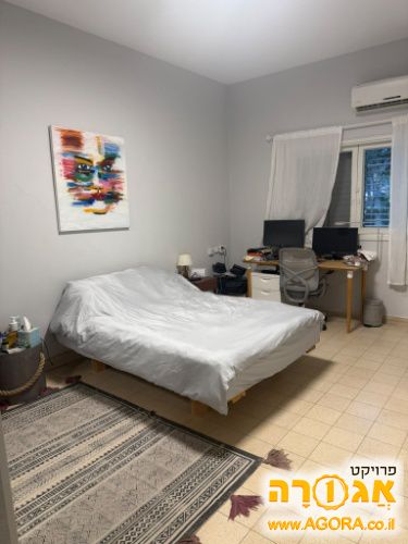 מיטה + בסיס מיטה