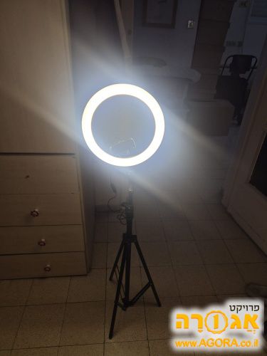 "רינג לייט