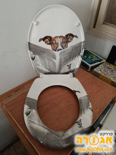 קרש לאסלה