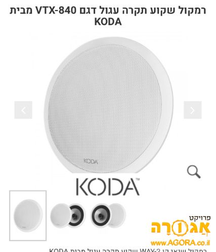 רמקול שקוע לכריזה