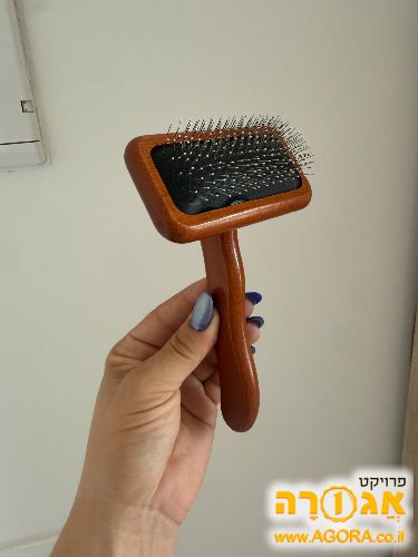 מבשרת לכלב או חתול