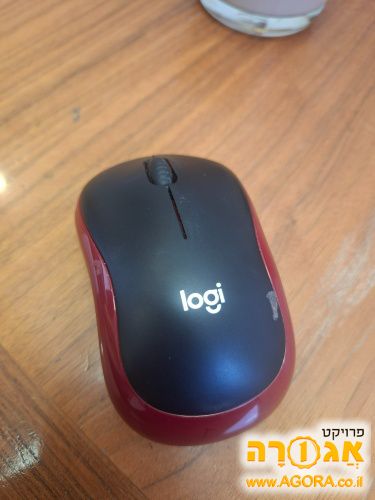 עכבר למחשב